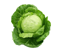 Cabbage (Bnd Gobi)